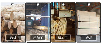建筑、建材與建筑材料 構筑現代文明的基石